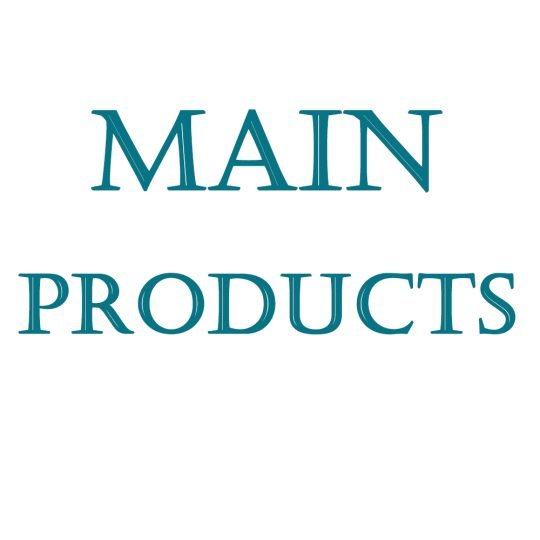 Main Products
