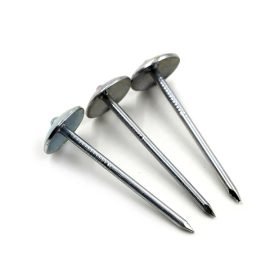 Roofing Nails
